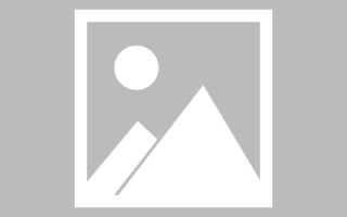 林芝征途网站建设（征途官网论坛）